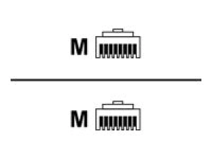 AddOn - Patch cable - RJ-45 (M) to RJ-45 (M) - 1 ft - UTP - CAT 6a - snagless, slim - red ADD-1FSLCAT6AS-RD