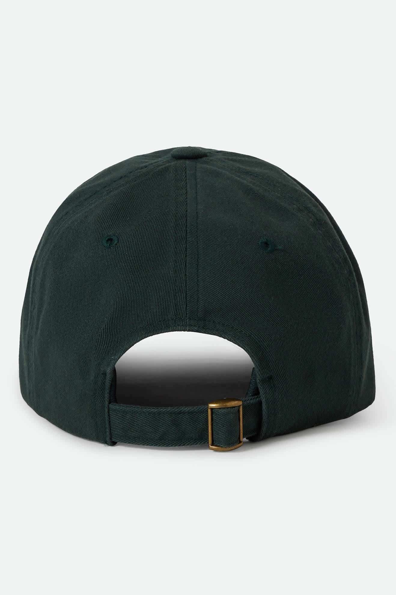 Alpha Netplus Adjustable Hat - Deep Forest Rinse