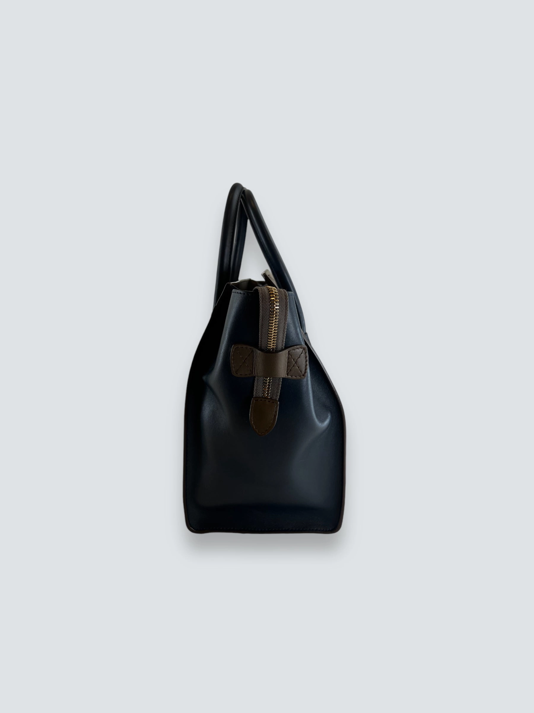 Celine Multi Colour Calf Leather Phantom Luggage Tote Handbag