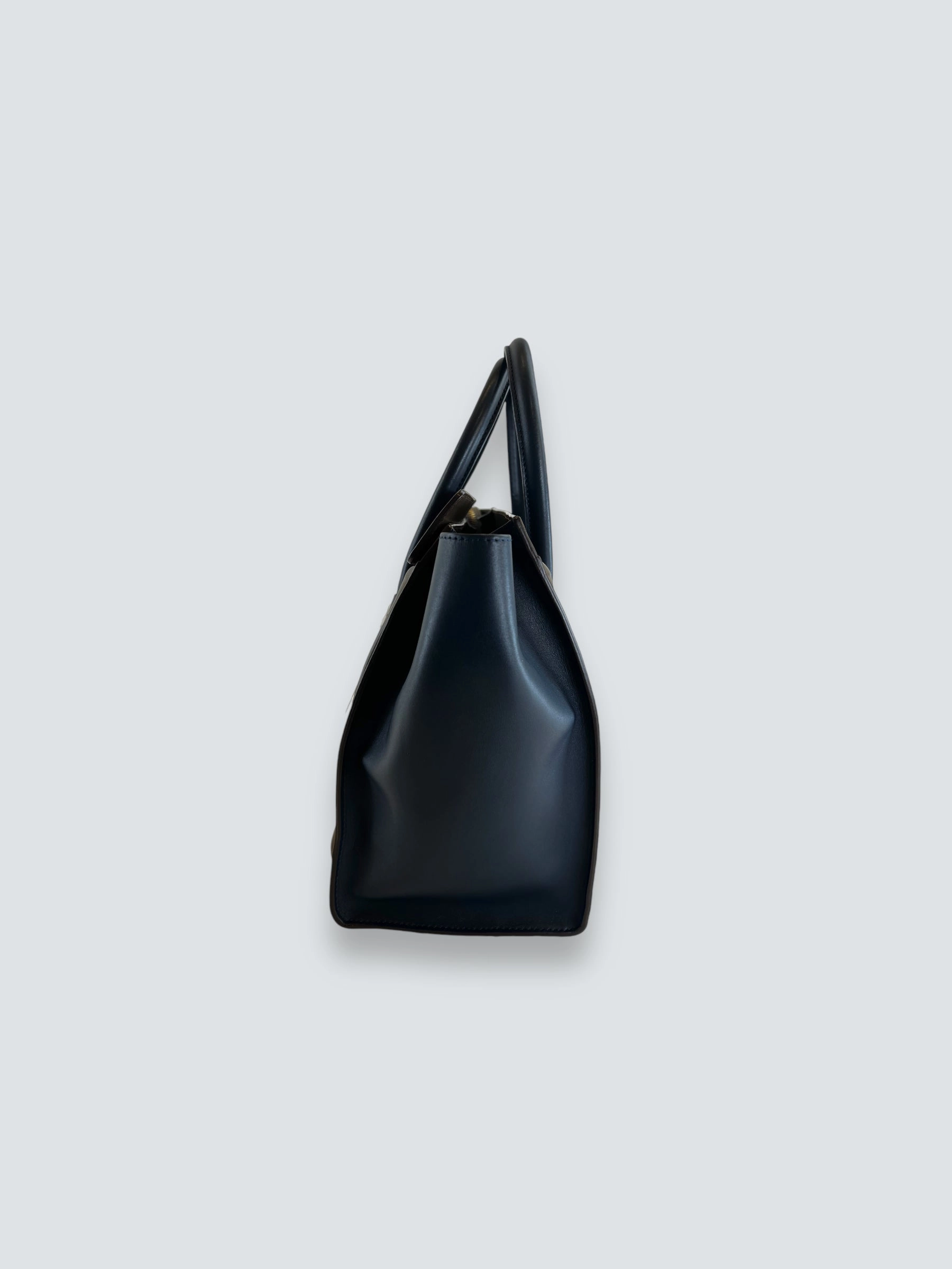 Celine Multi Colour Calf Leather Phantom Luggage Tote Handbag