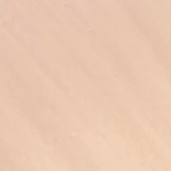 Chanel Les Beiges Water-Fresh Tint