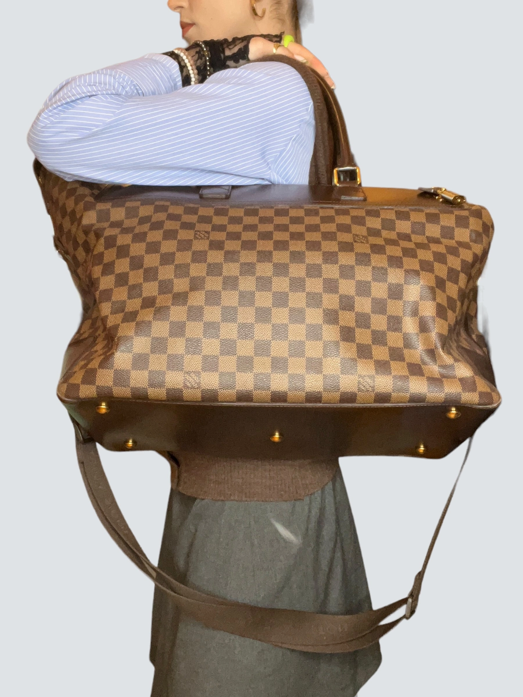 Louis Vuitton Damier Ebene Canvas Luggage