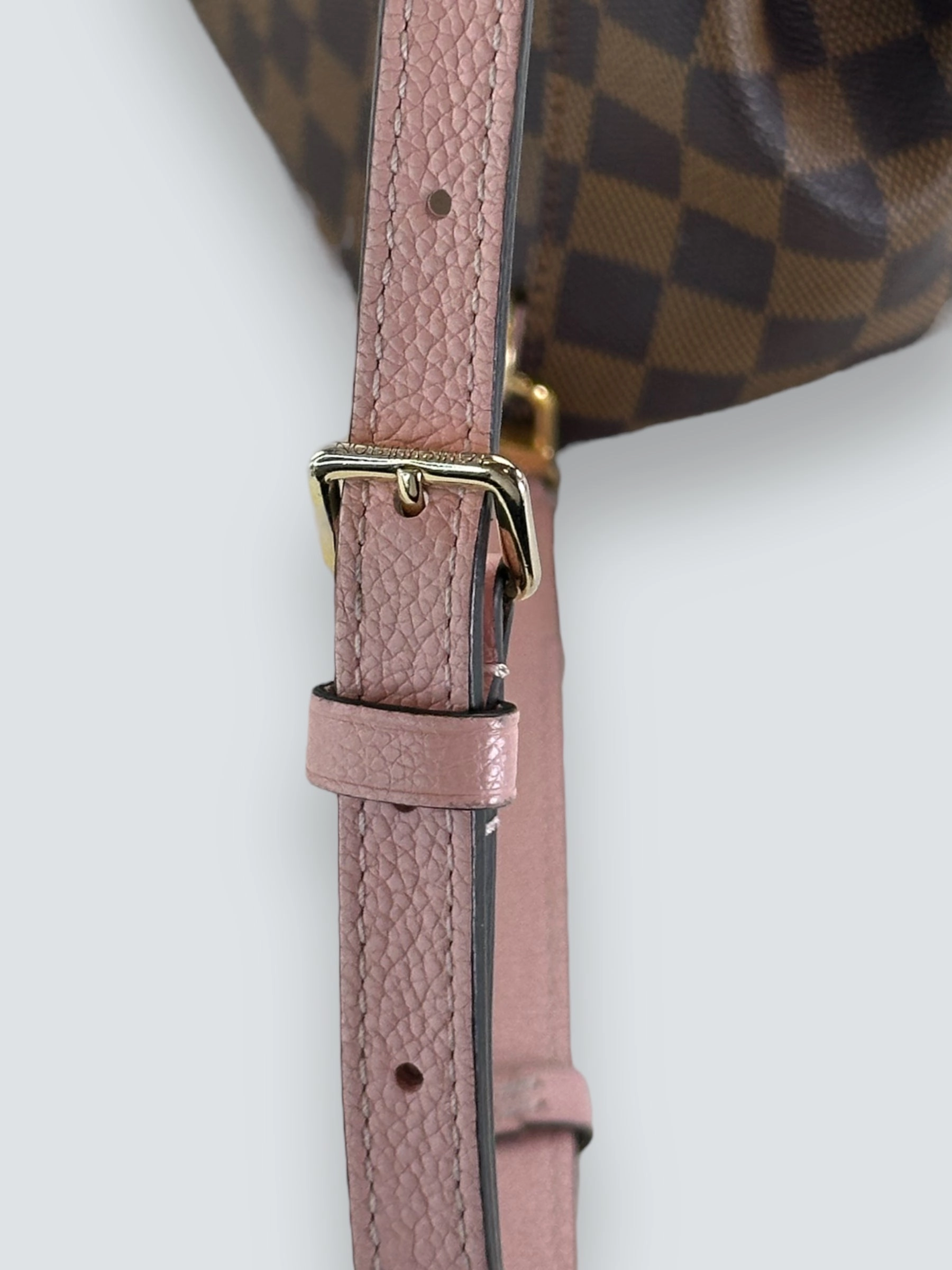 Louis Vuitton Damier Evene Canvas & Leather Clapton Backpack