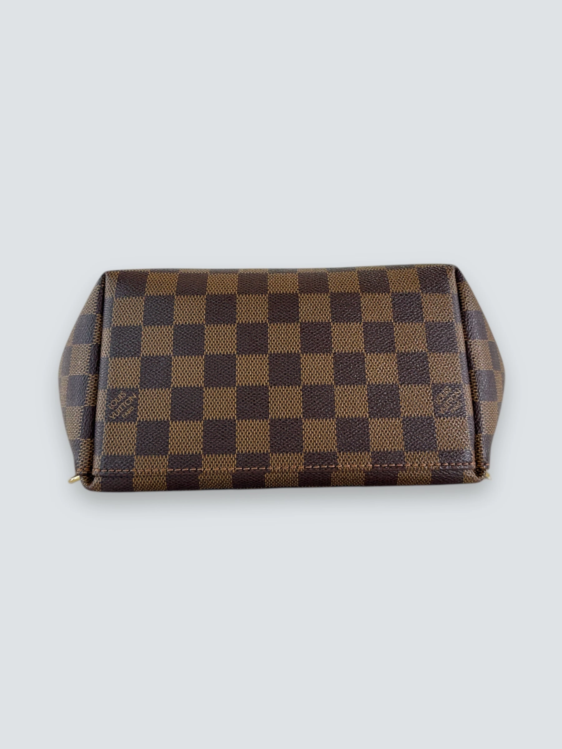 Louis Vuitton Damier Evene Canvas & Leather Clapton Backpack