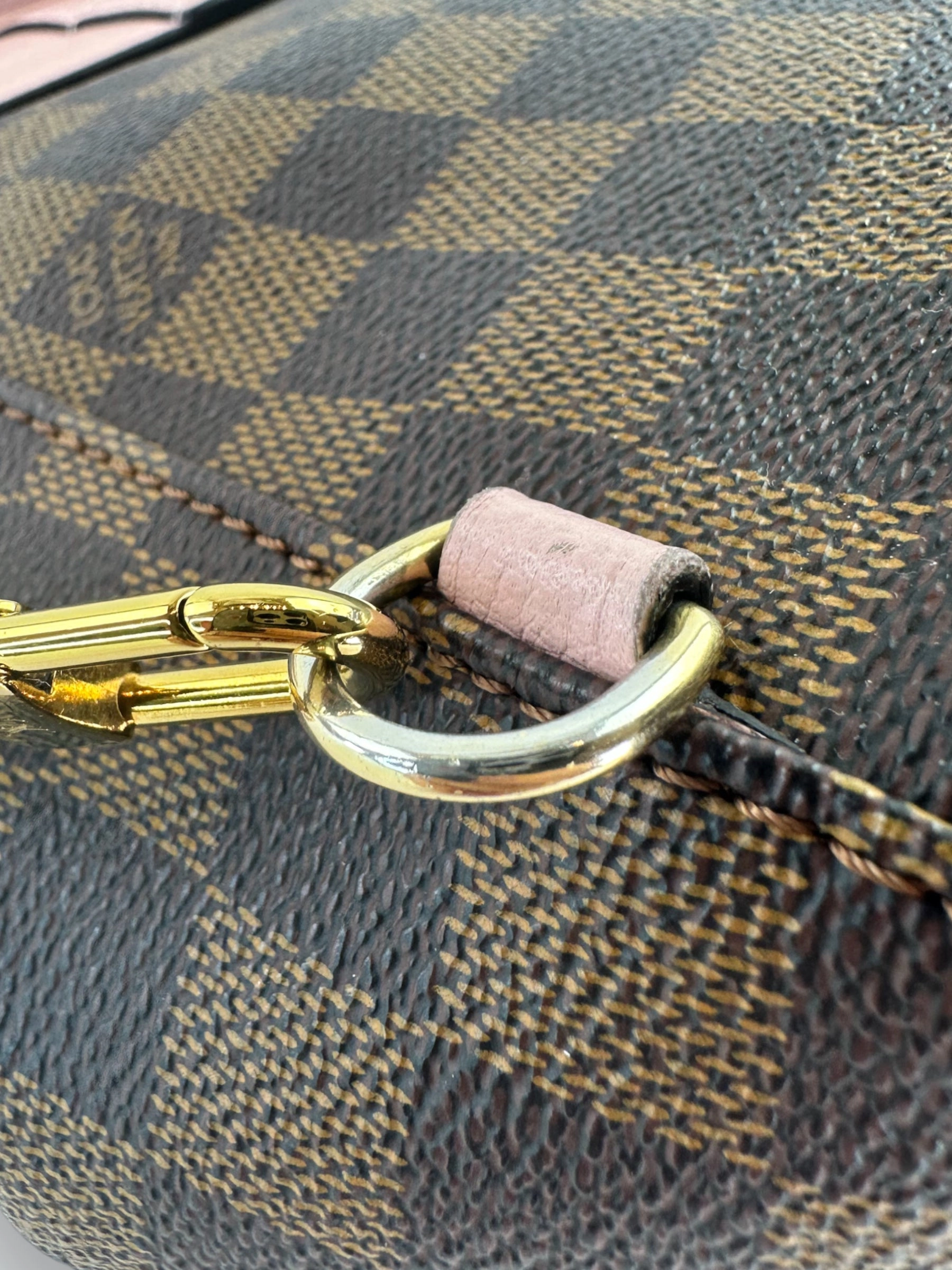 Louis Vuitton Damier Evene Canvas & Leather Clapton Backpack