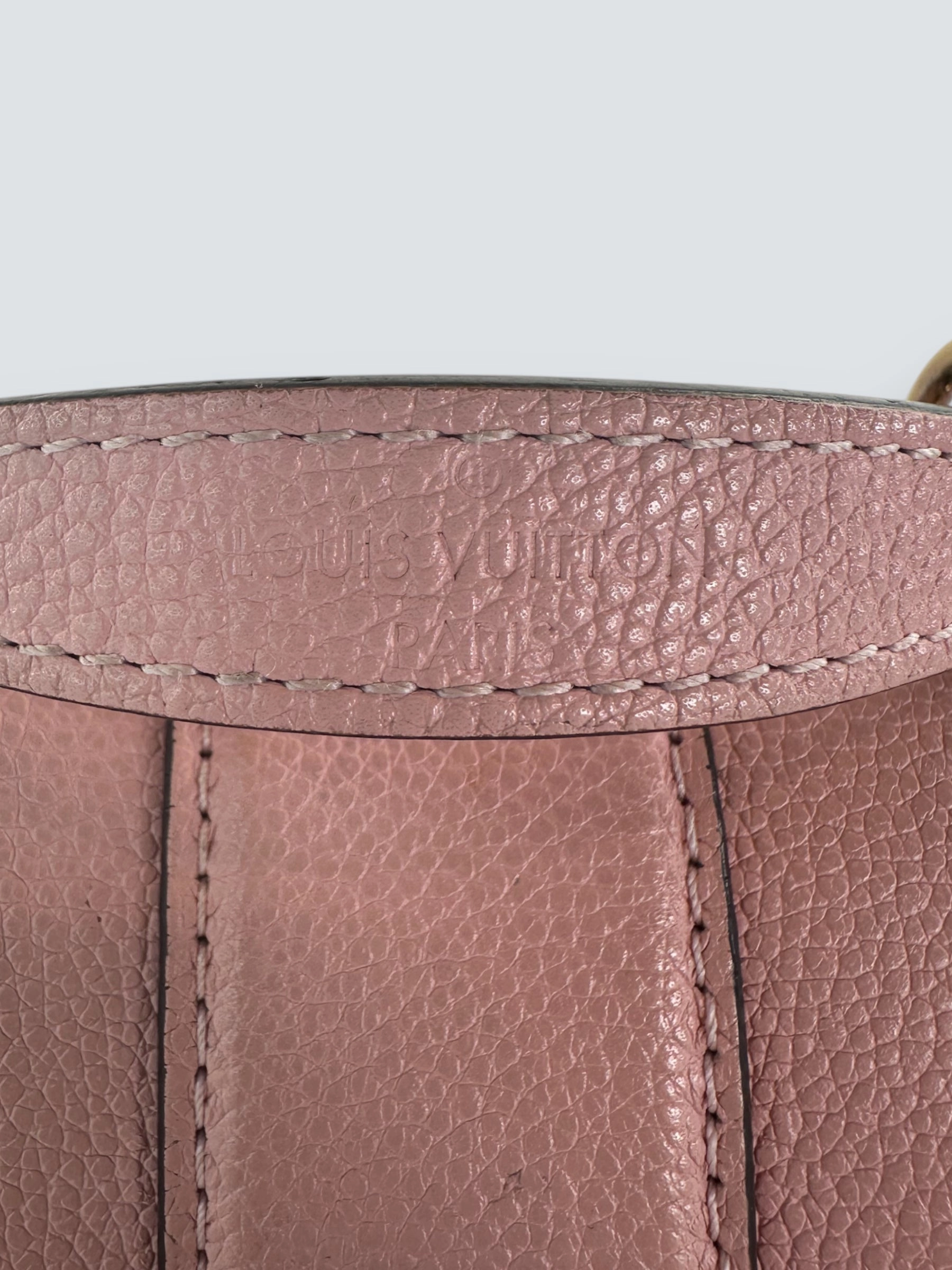 Louis Vuitton Damier Evene Canvas & Leather Clapton Backpack