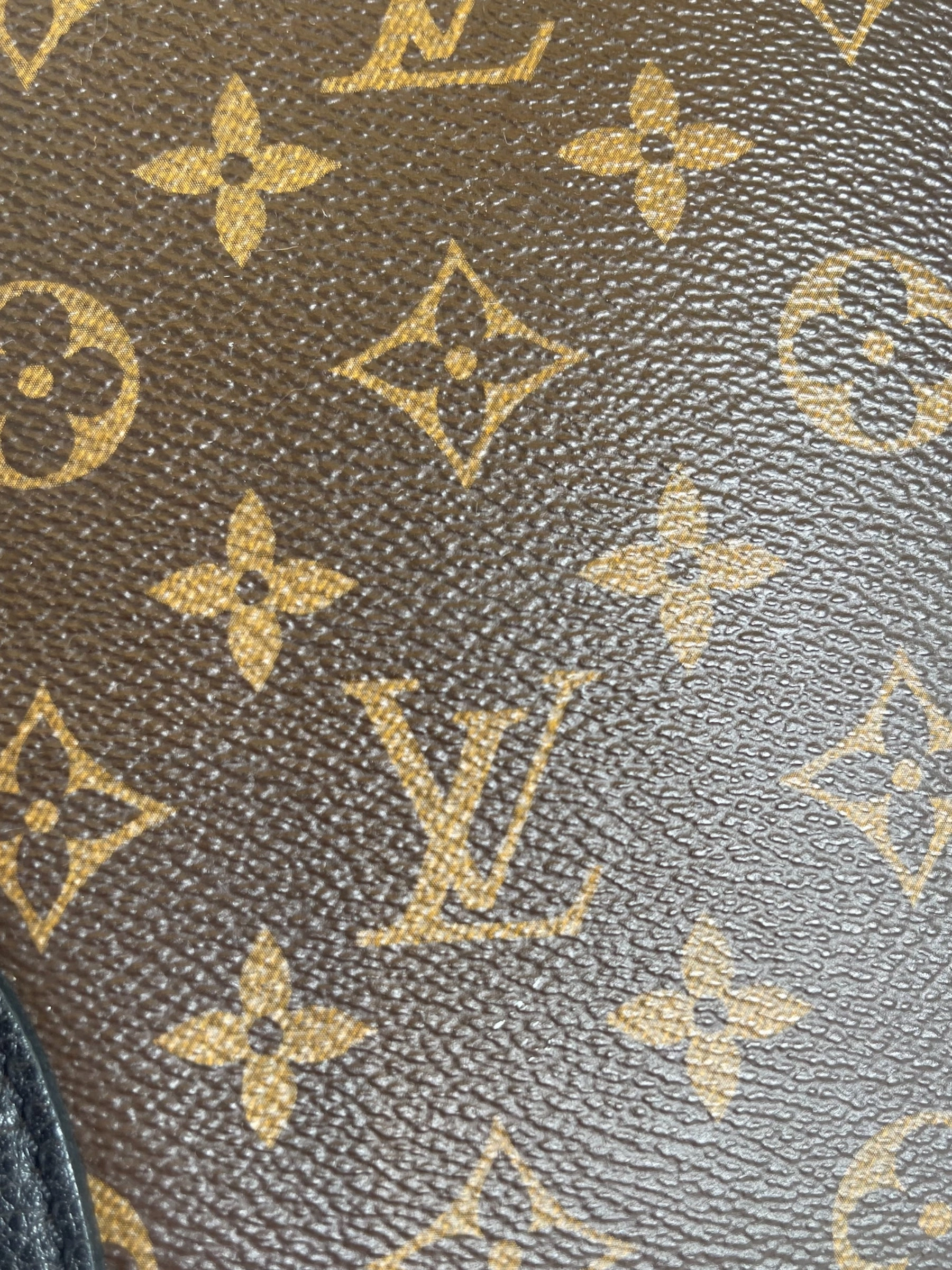 Louis Vuitton Monogram Canvas & Leather Flandrin Tote