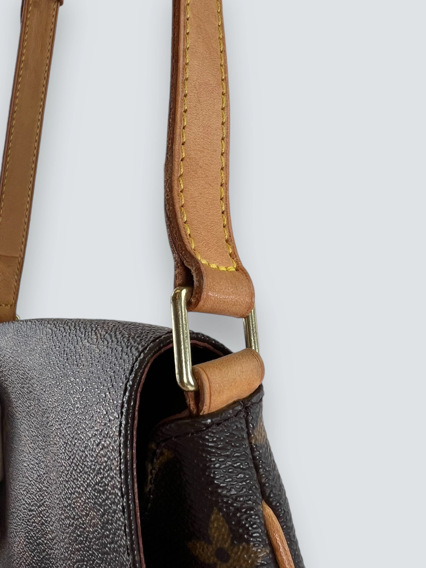 Louis Vuitton Monogram Canvas & Leather Musette Salsa Crossbody