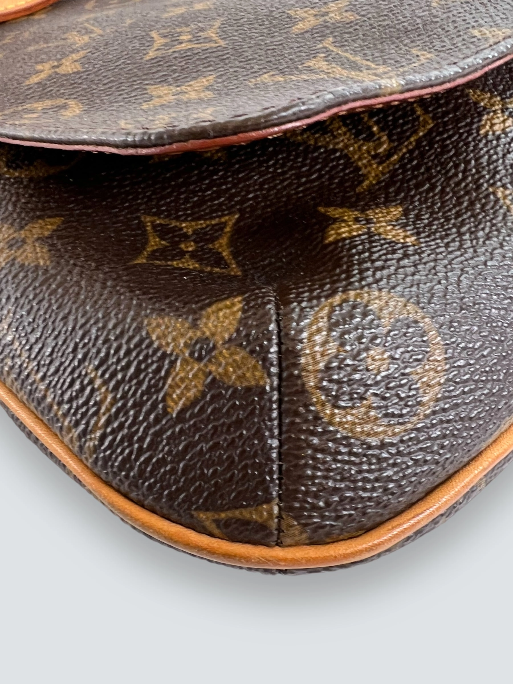 Louis Vuitton Monogram Canvas & Leather Musette Salsa Crossbody