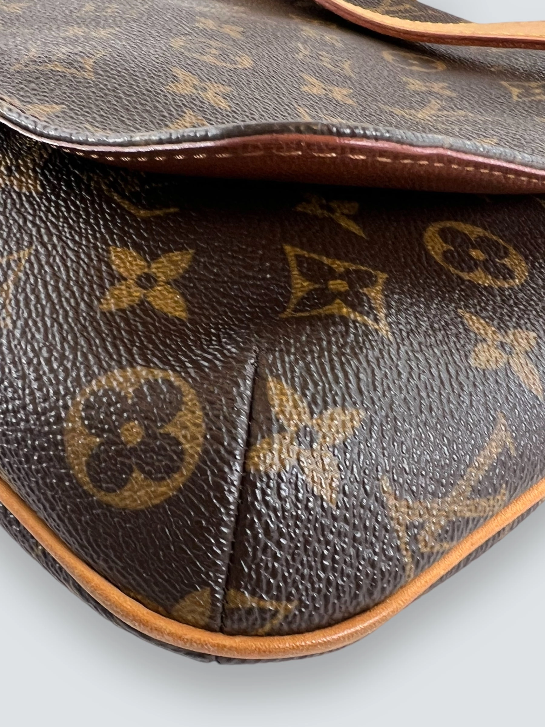 Louis Vuitton Monogram Canvas & Leather Musette Salsa Crossbody