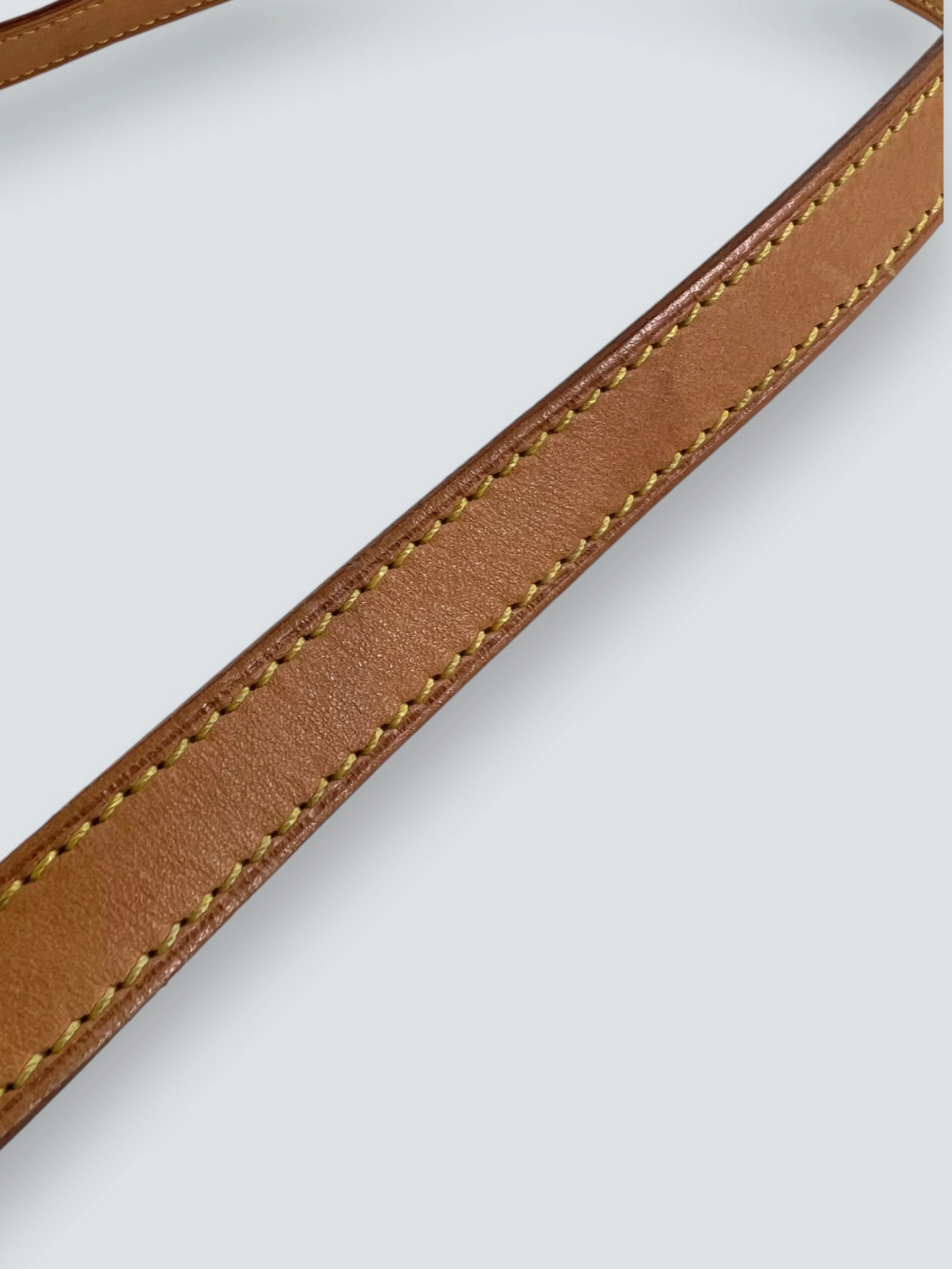 Louis Vuitton Monogram Canvas & Leather Musette Salsa Crossbody