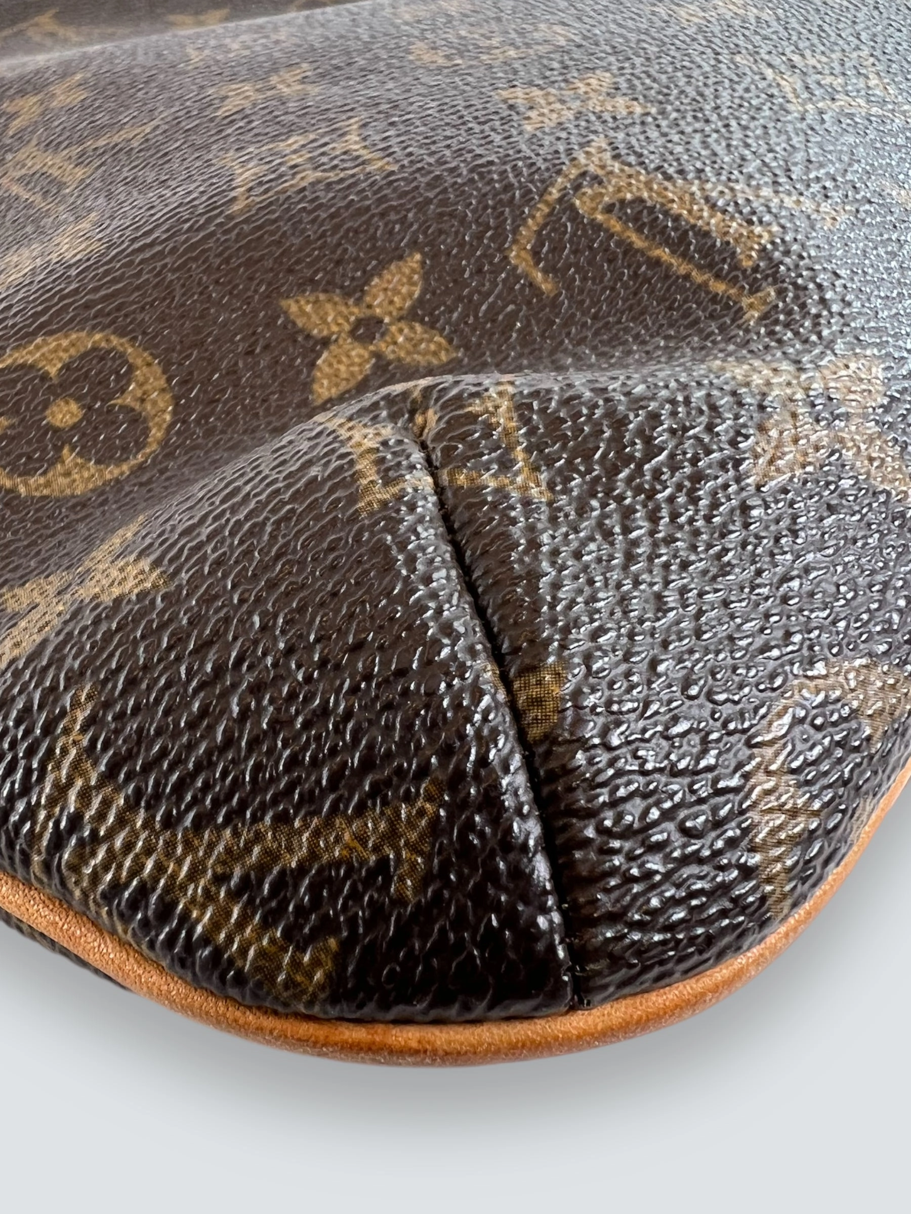 Louis Vuitton Monogram Canvas & Leather Musette Salsa Crossbody