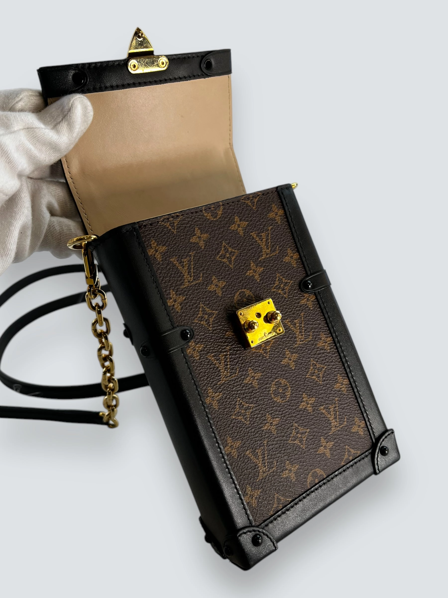 Louis Vuitton Monogram Canvas & Leather Vertical Trunk Crossbody