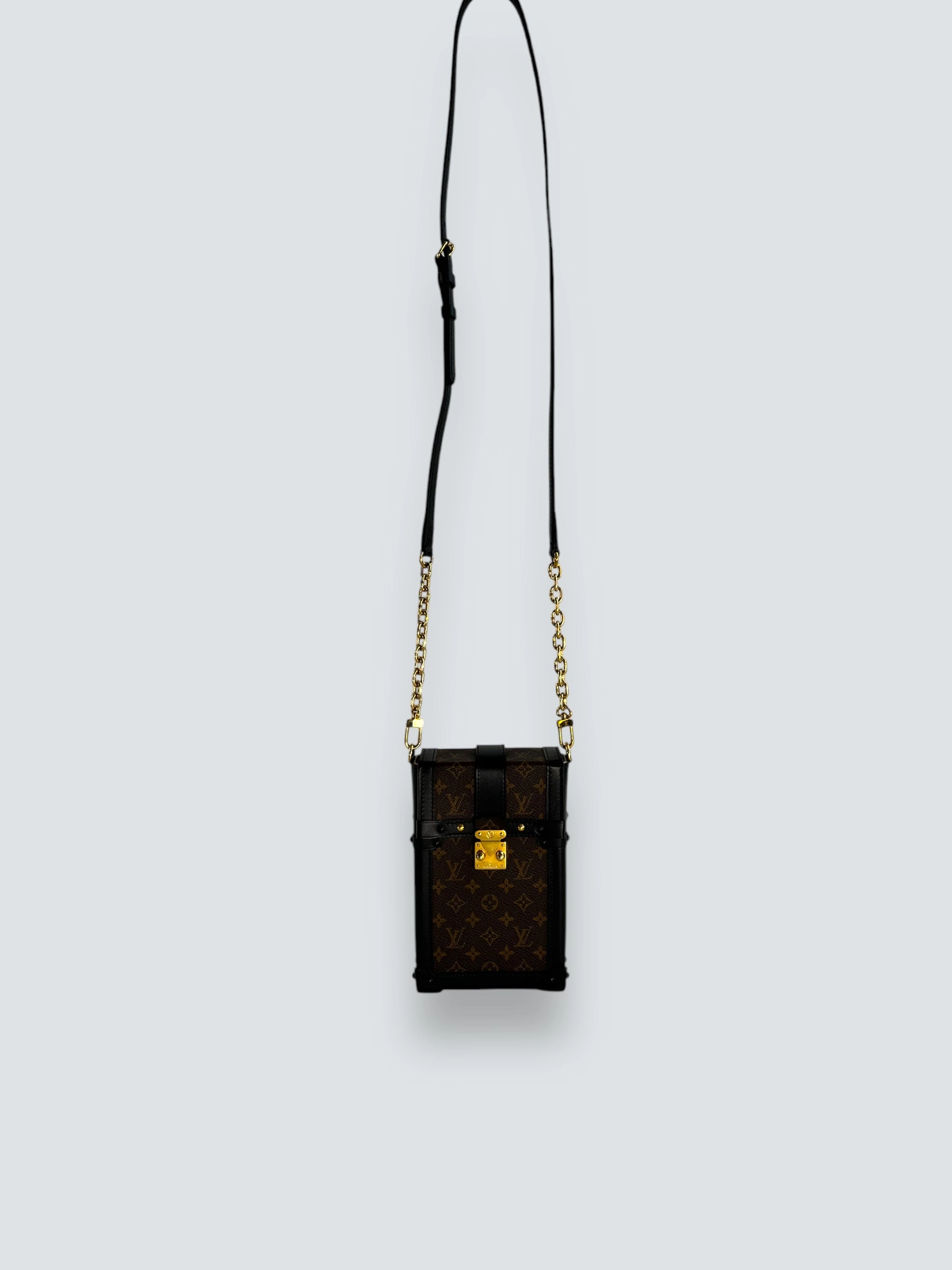 Louis Vuitton Monogram Canvas & Leather Vertical Trunk Crossbody