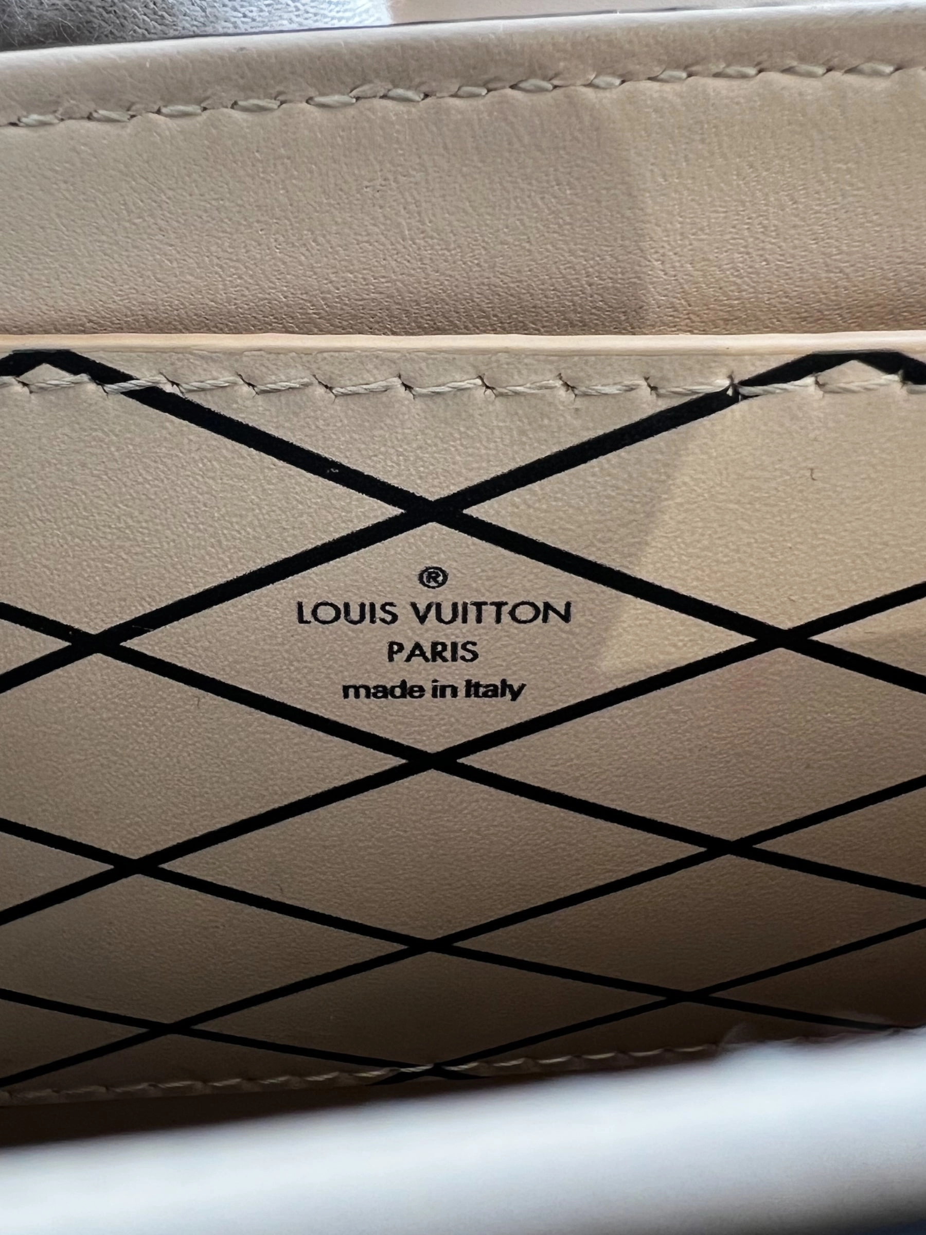 Louis Vuitton Monogram Canvas & Leather Vertical Trunk Crossbody