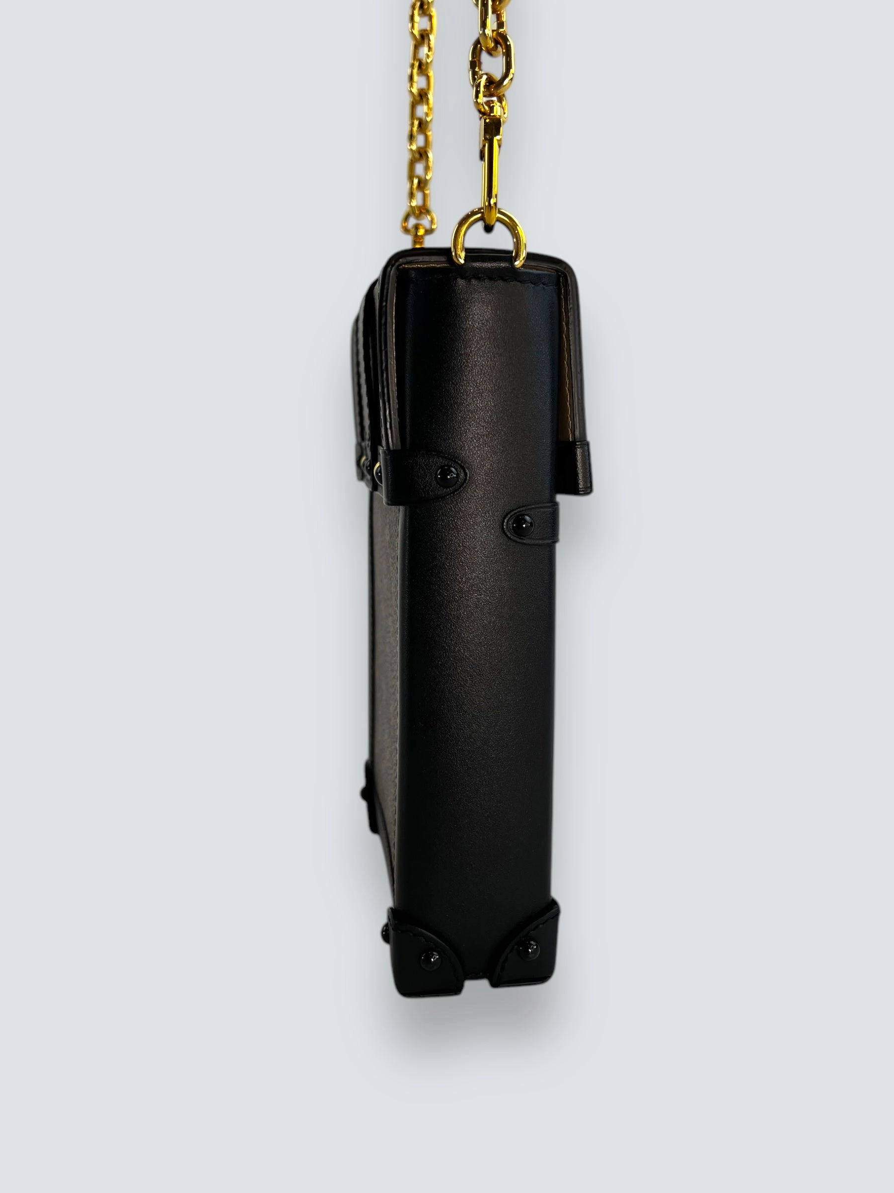 Louis Vuitton Monogram Canvas & Leather Vertical Trunk Crossbody