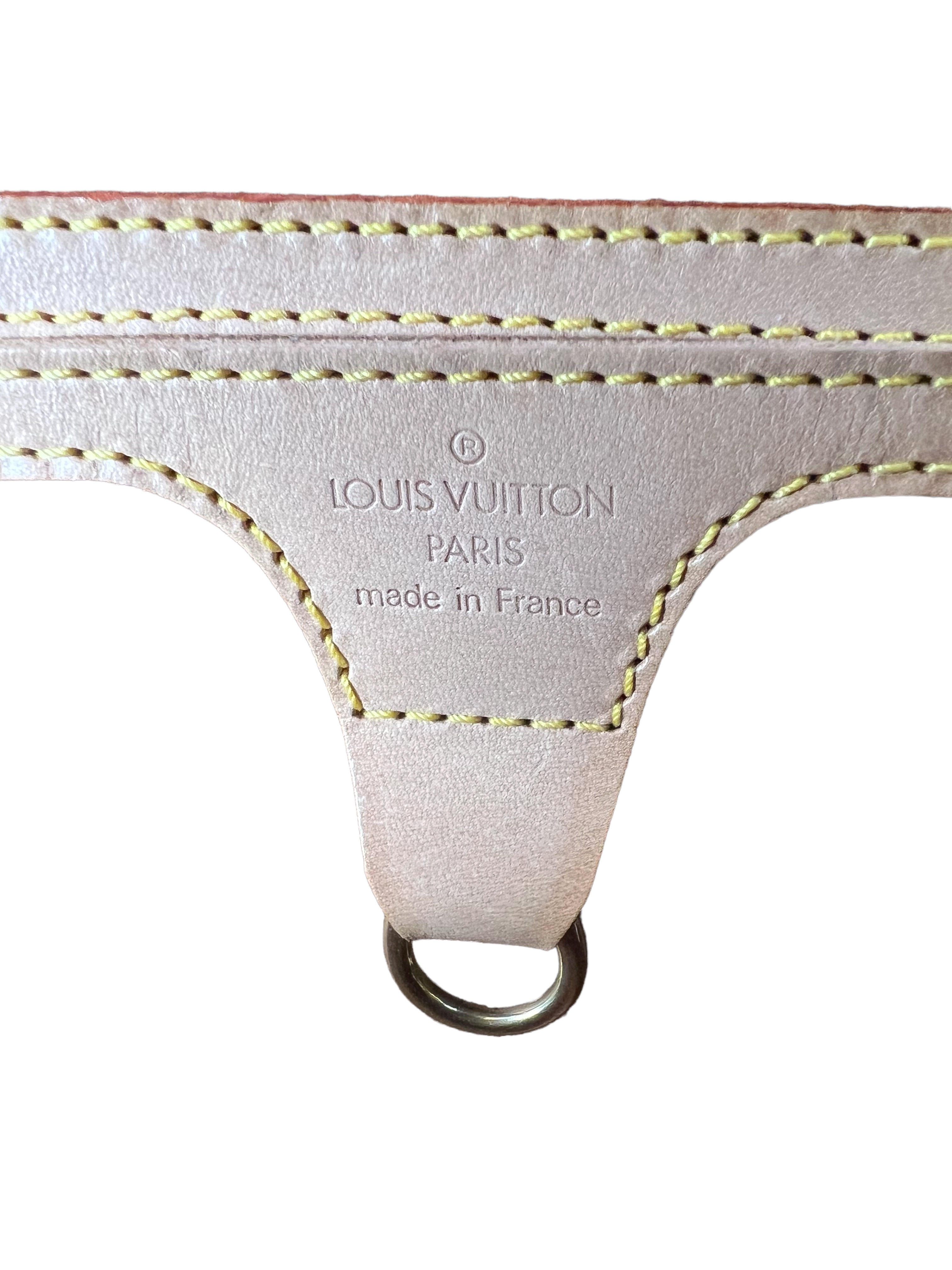 Louis Vuitton Monogram Canvas Ellipse Backpack