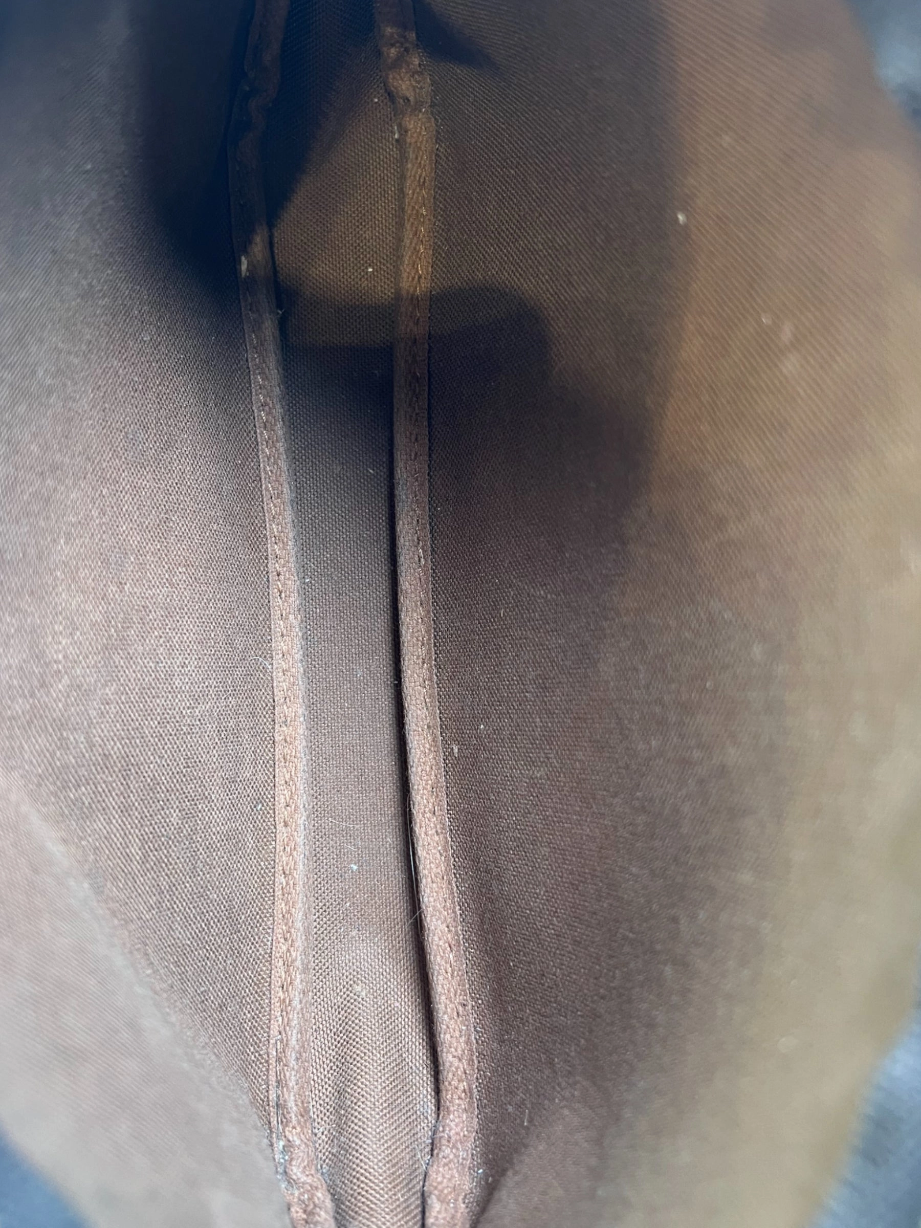 Louis Vuitton Monogram Canvas Pochette