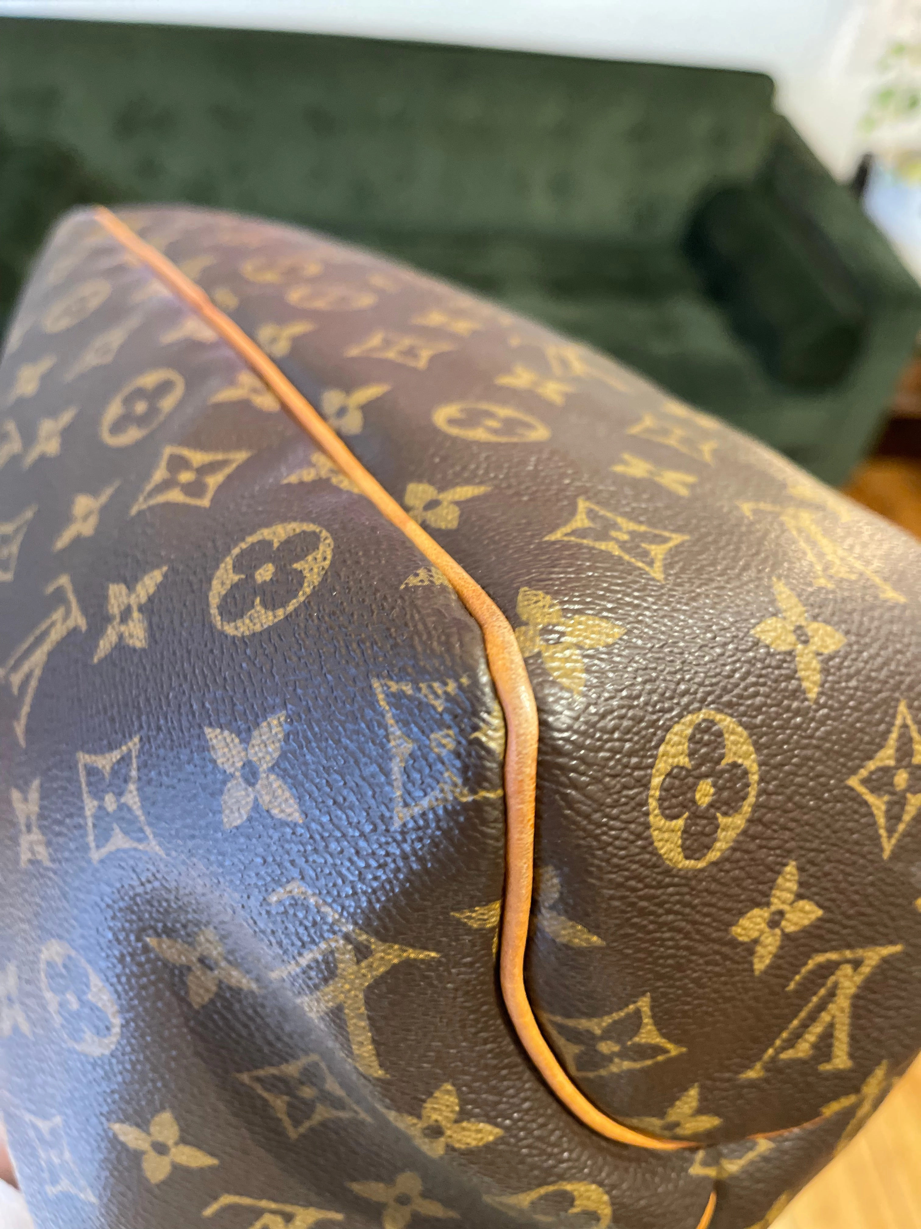 Louis Vuitton Monogram Handbag