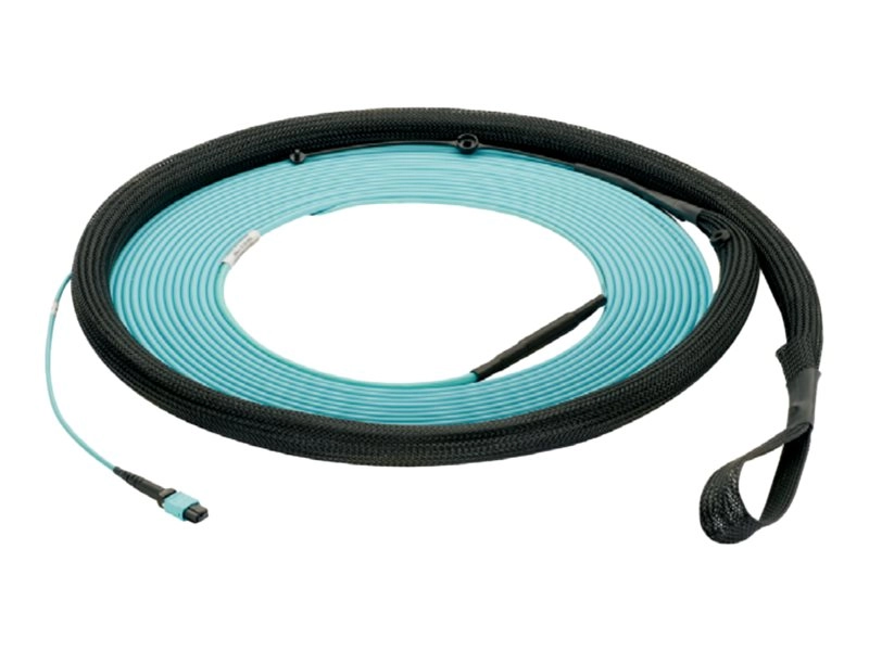Panduit - Trunk cable - PanMPO single-mode (F) to PanMPO single-mode (F) - 9.14 m - 0.2 in - fiber optic - 9 / 125 micron - OS2 FY9TP77Y006F030