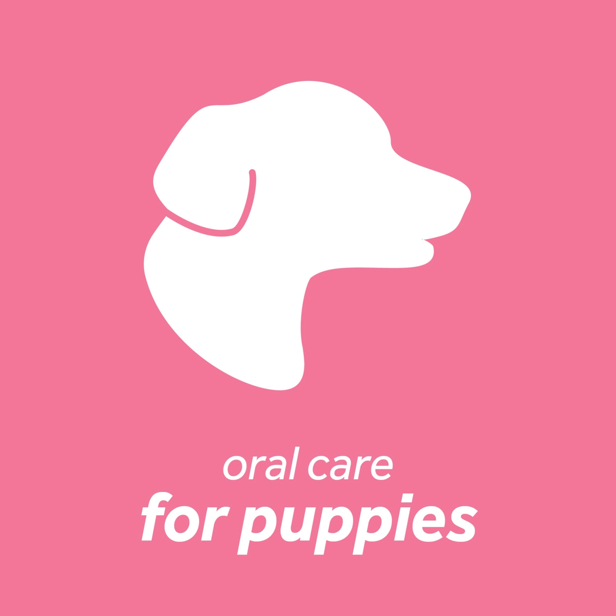 TropiClean Fresh Breath Dental Health Solution for Puppies, 16oz