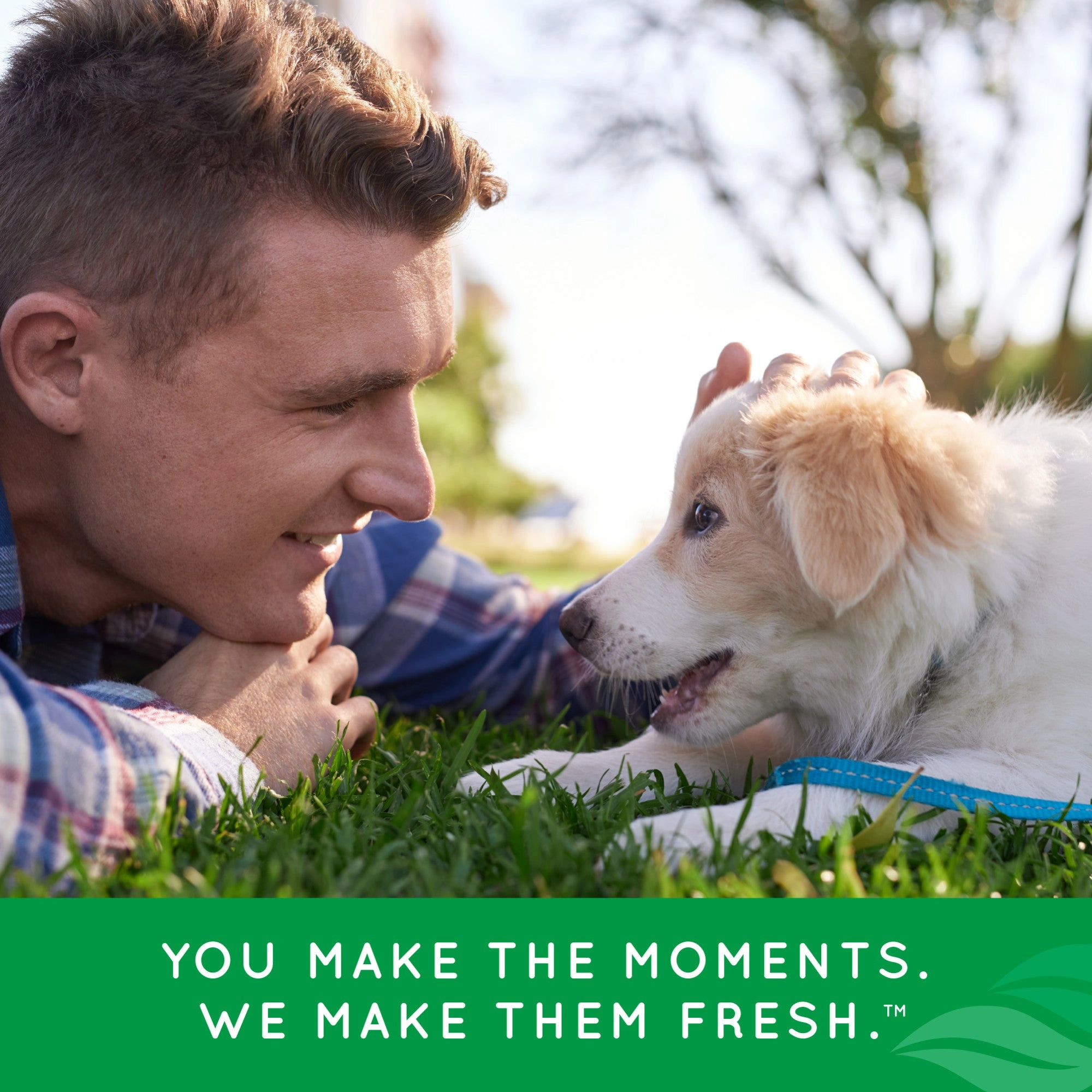 TropiClean Fresh Breath Dental Health Solution for Puppies, 16oz